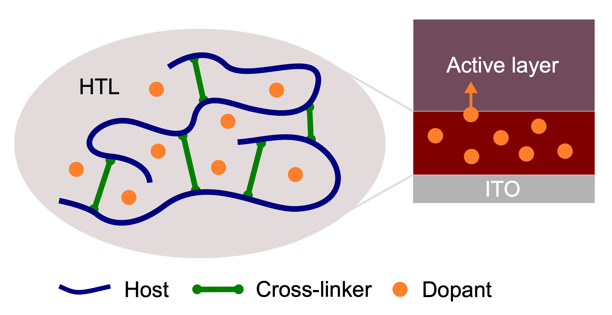 Principle of cross-linking a doped organic charge transport layer in an organic solar cell